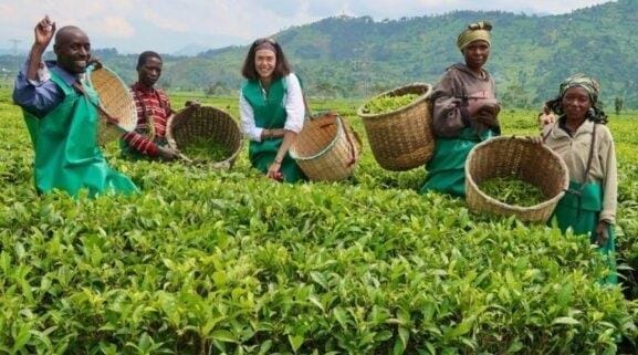 Agritourism in India