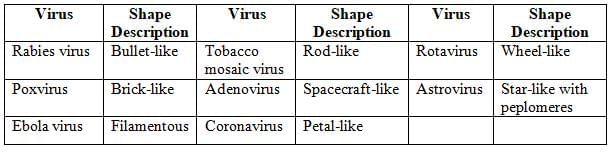 General Properties of Viruses Chapter Notes | Microbiology - NEET PG