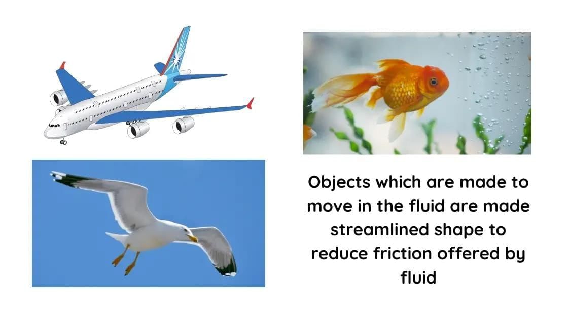 Worksheet Solutions: Exploring Forces | Worksheets with Solutions for Class 8