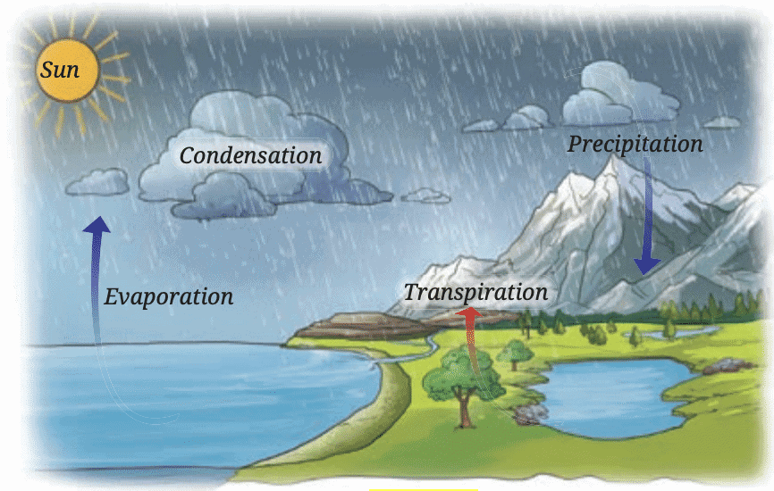 Sure Shot Questions: Heat Transfer in Nature