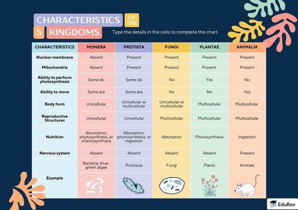 Poster: Five Kingdom Classification | Biology Class 11 - NEET