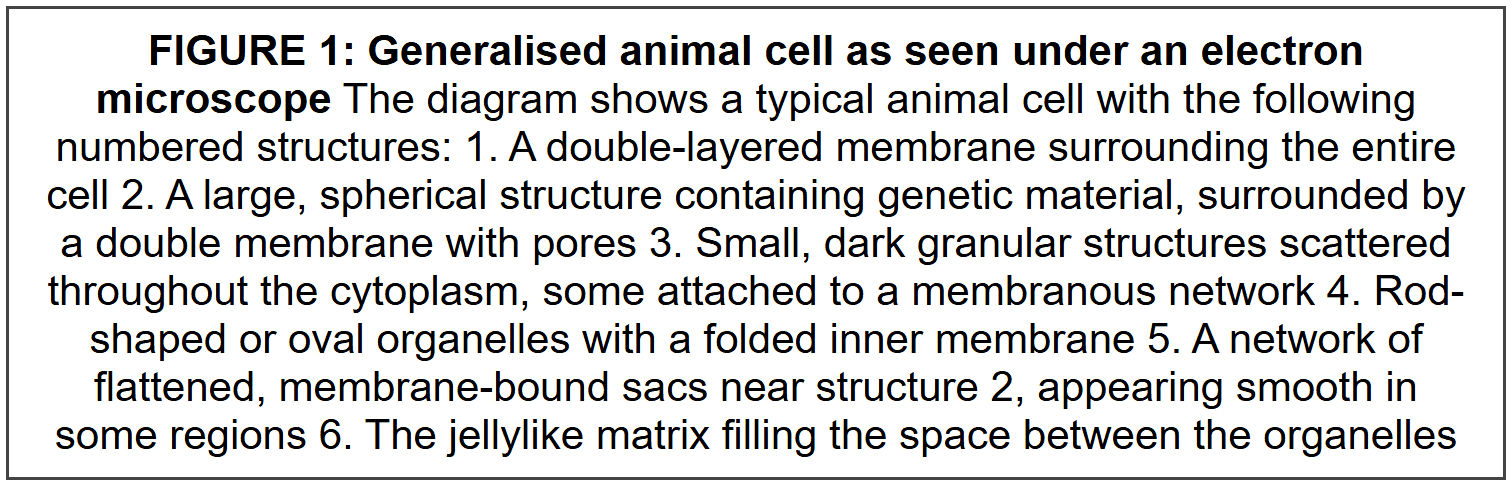 Cells: the Basic Units of Life