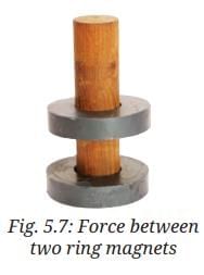 NCERT Based Activity: Exploring Forces | Science Class 8