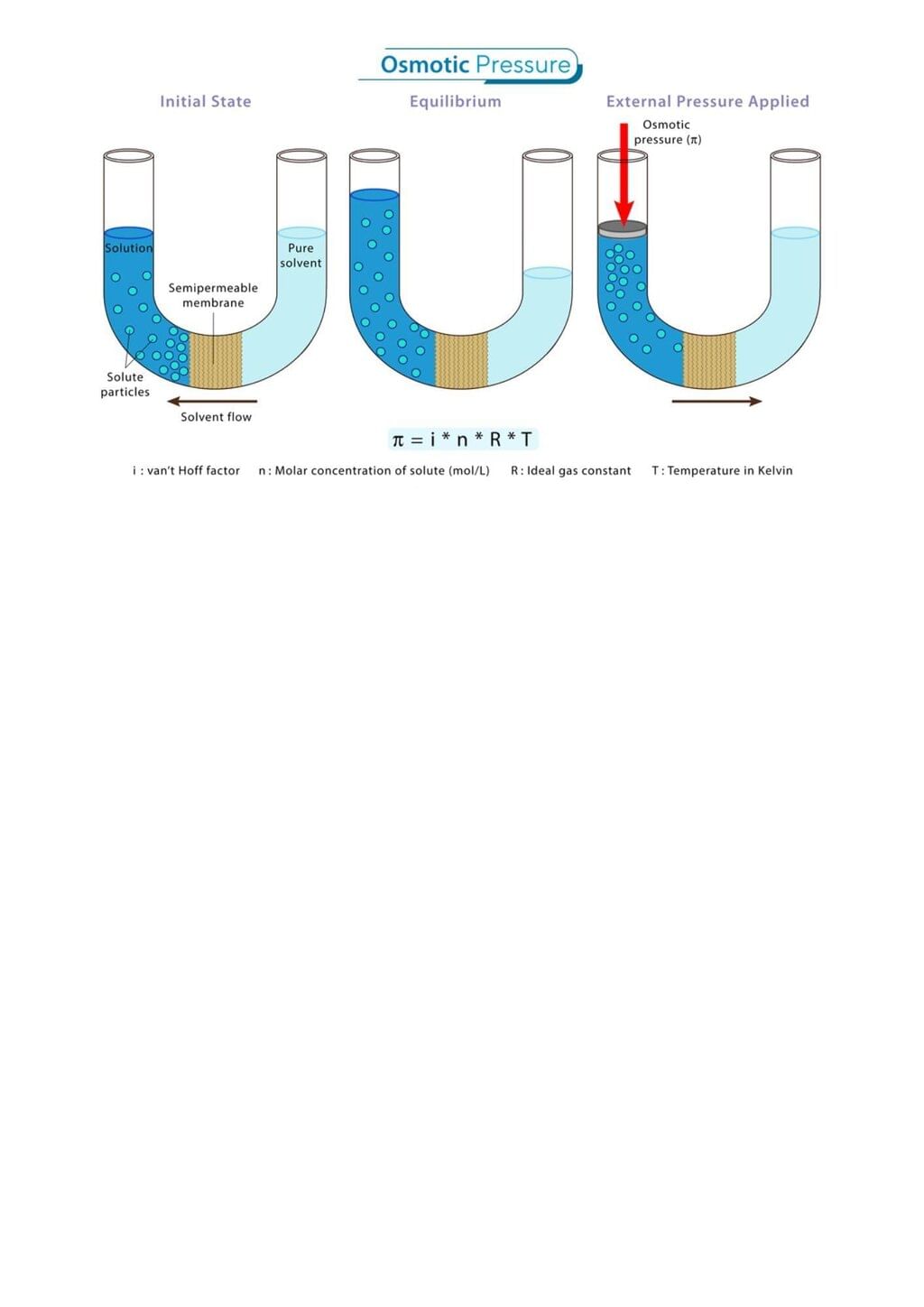 Infographic: Solutions | Chemistry Class 12 - NEET