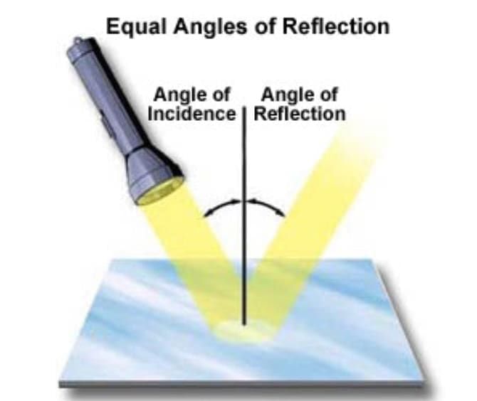 Class 8 Science: Sample Paper Solutions- 1 | Sample Papers For Class 8