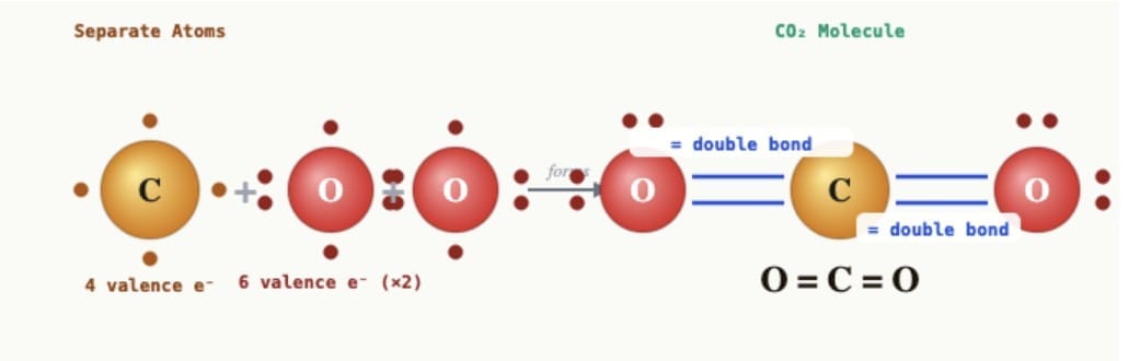 Pause and Ponder (Page 171)