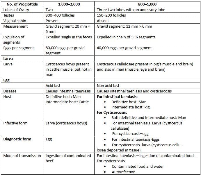 Cestodes and Trematodes Chapter Notes | Microbiology - NEET PG
