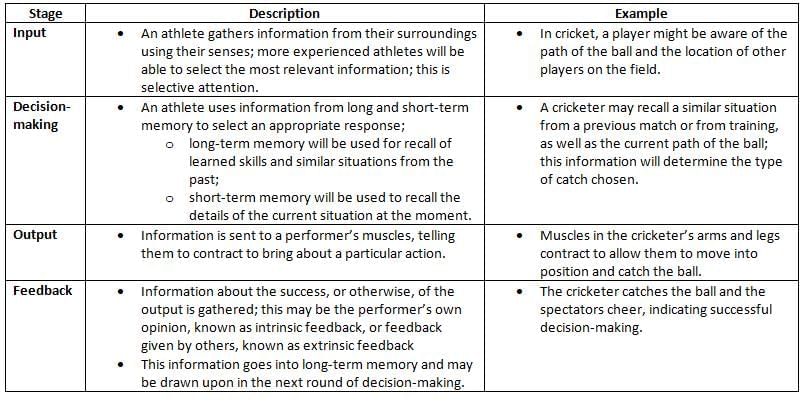 Basic Information Processing Model | Physical Education for GCSE/IGCSE - Year 11