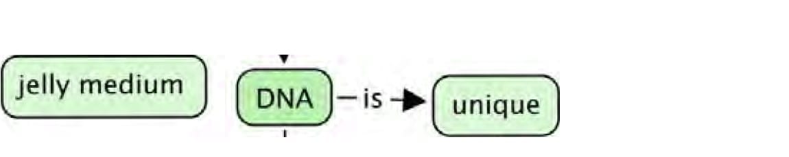 Key Concepts