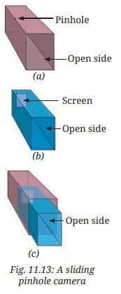 Activity Description