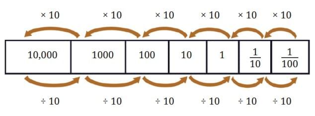 NCERT Solutions for Class 7 Maths Chapter 3 A Peek Beyond the Point