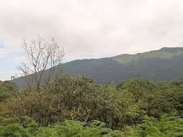 Thanthai Periyar Wildlife Sanctuary