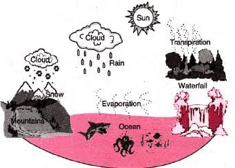 Water Chapter Notes | Chemistry for SSS 1