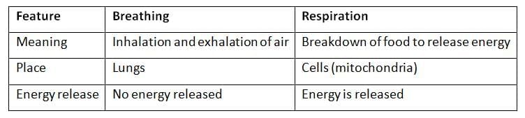 Class 8 Science: Sample Paper Solutions - 5 | Sample Papers For Class 8