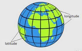 Worksheet Solutions: Web of Life - 1 | EVS for Class 3