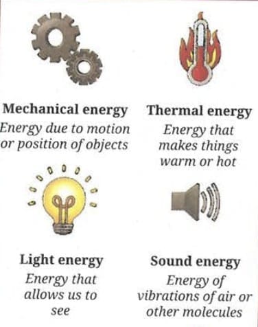 7.3 Forms of Energy