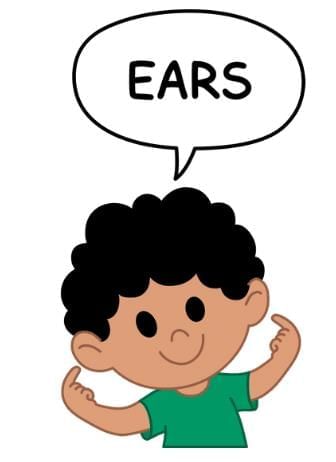 Two Little Hands - 1 Class 1 Worksheet English Mridang