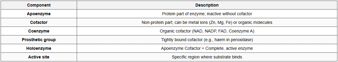 ENZYMES