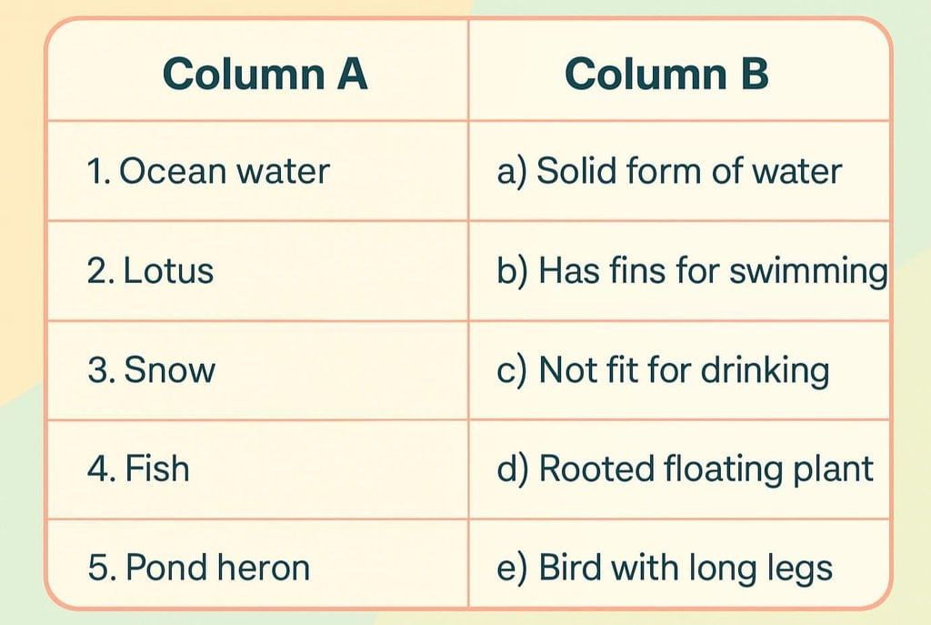 Worksheet: Water - The Essence of Life | Our Wondrous World  Class 5 - New NCERT