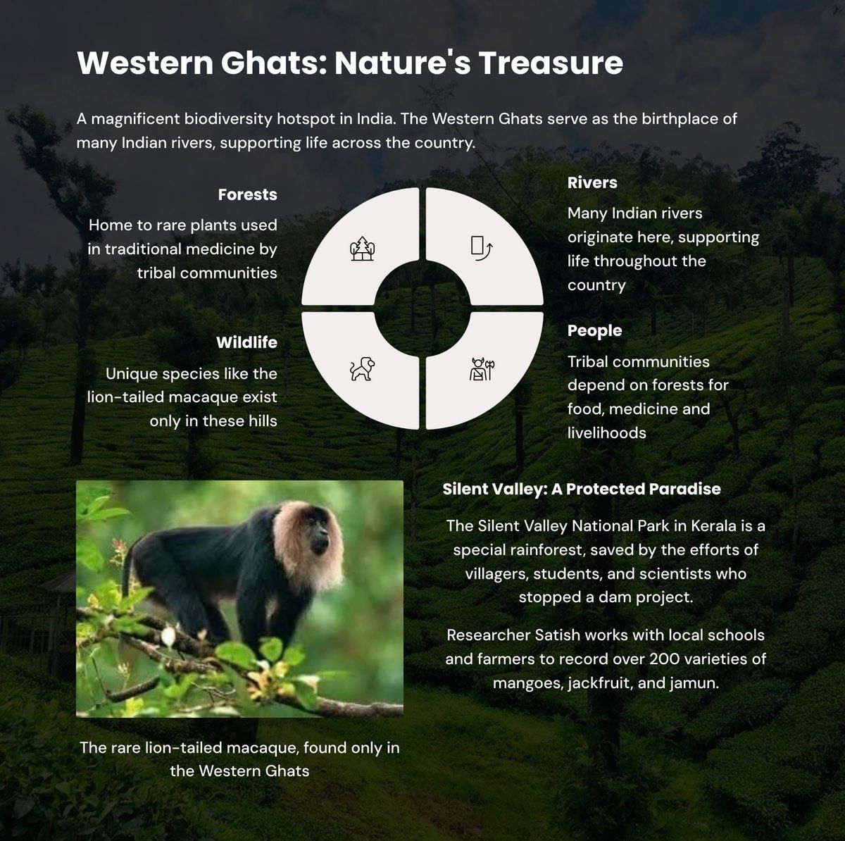 Learning Poster: Western Ghats: Nature`s Treasure | Our Wondrous World  Class 5 - New NCERT