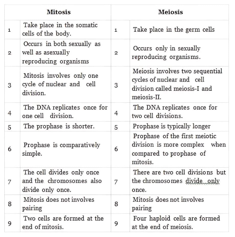 NCERT Exemplar: Cell Cycle & Cell Division | Biology Class 11 - NEET