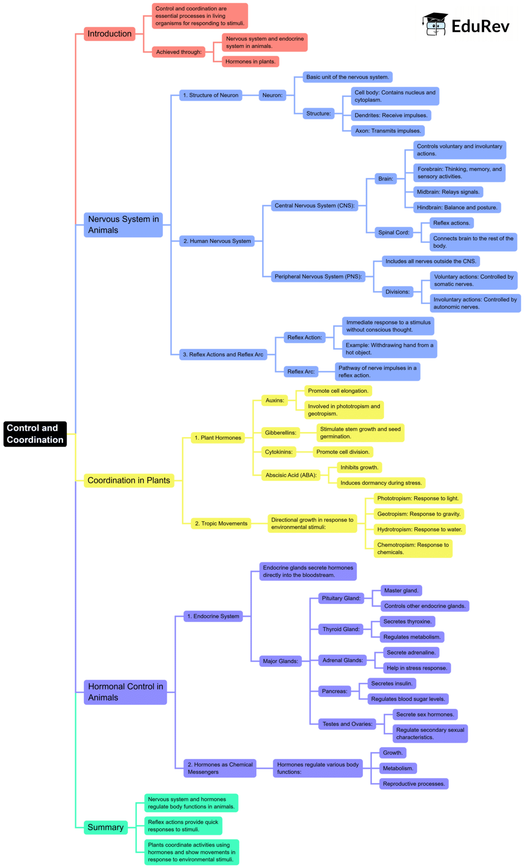 Mindmap: Control & Coordination | Science Class 10