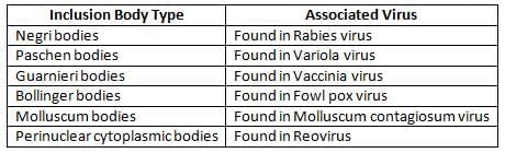 General Properties of Viruses Chapter Notes | Microbiology - NEET PG