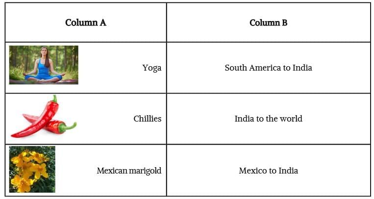 Unit Test (Solutions): Earth — Our Shared Home | Our Wondrous World  Class 5 - New NCERT