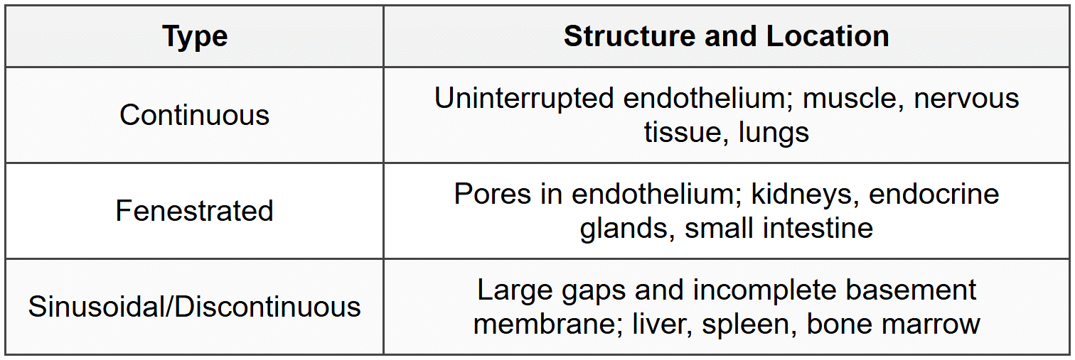 CheatSheet General Anatomy - Anatomy - NEET PG PDF Download