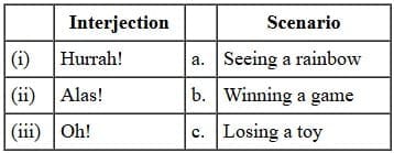 Section 9: Interjections