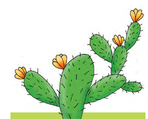 Worksheet: फूल और काँटा | Hindi (Malhar) Class 7 - New NCERT