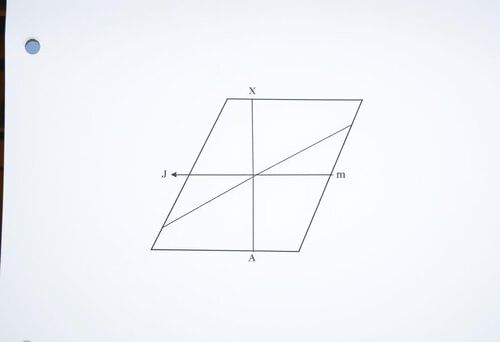 answer Image
