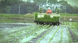 Agriculture - 2 Class 4 Worksheet SST