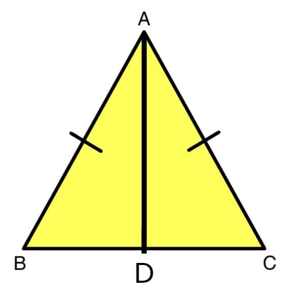 Short & Long Answer Questions: Geometric Twins