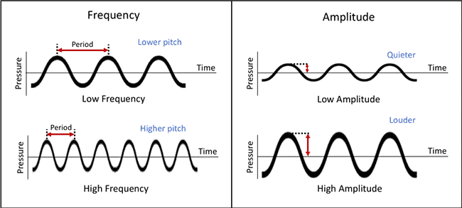 Sound Chapter Notes | General Science Class 8 (Maharashtra Board)