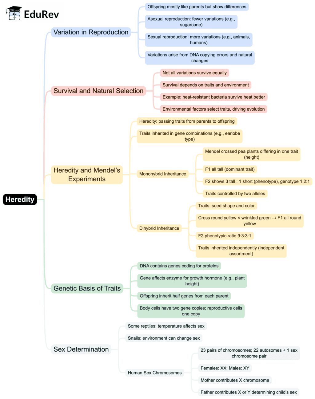 Mind Map: Heredity | Science Class 10