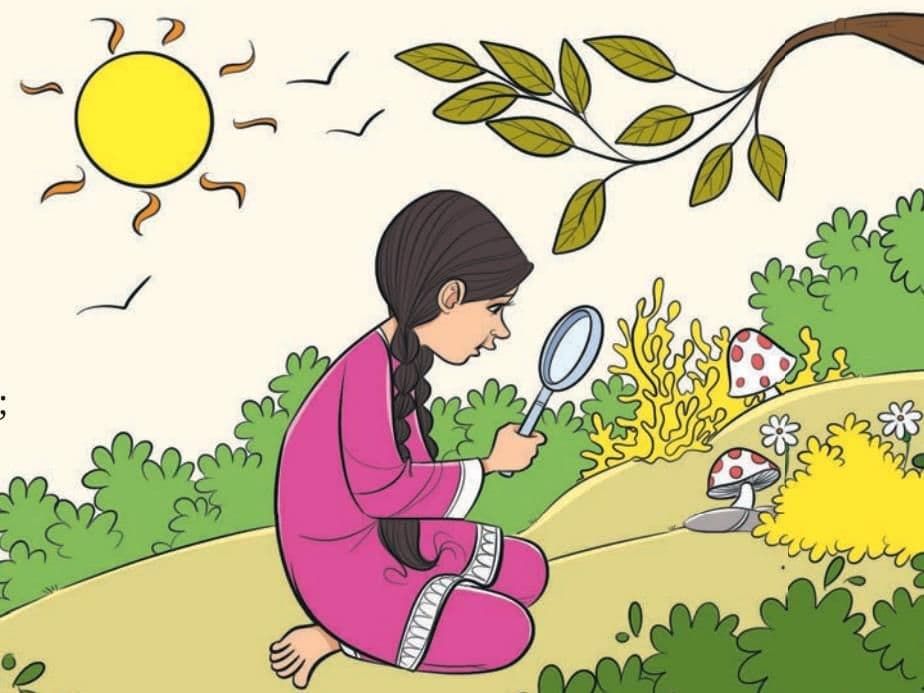Magnifying Glass Chapter Notes | English Poorvi Class 8 - New NCERT