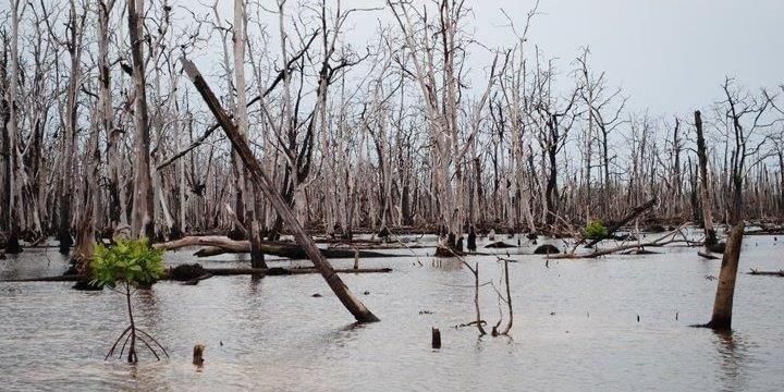 Environment and Ecology: September 2025 Current Affairs | Current Affairs & General Knowledge - CLAT