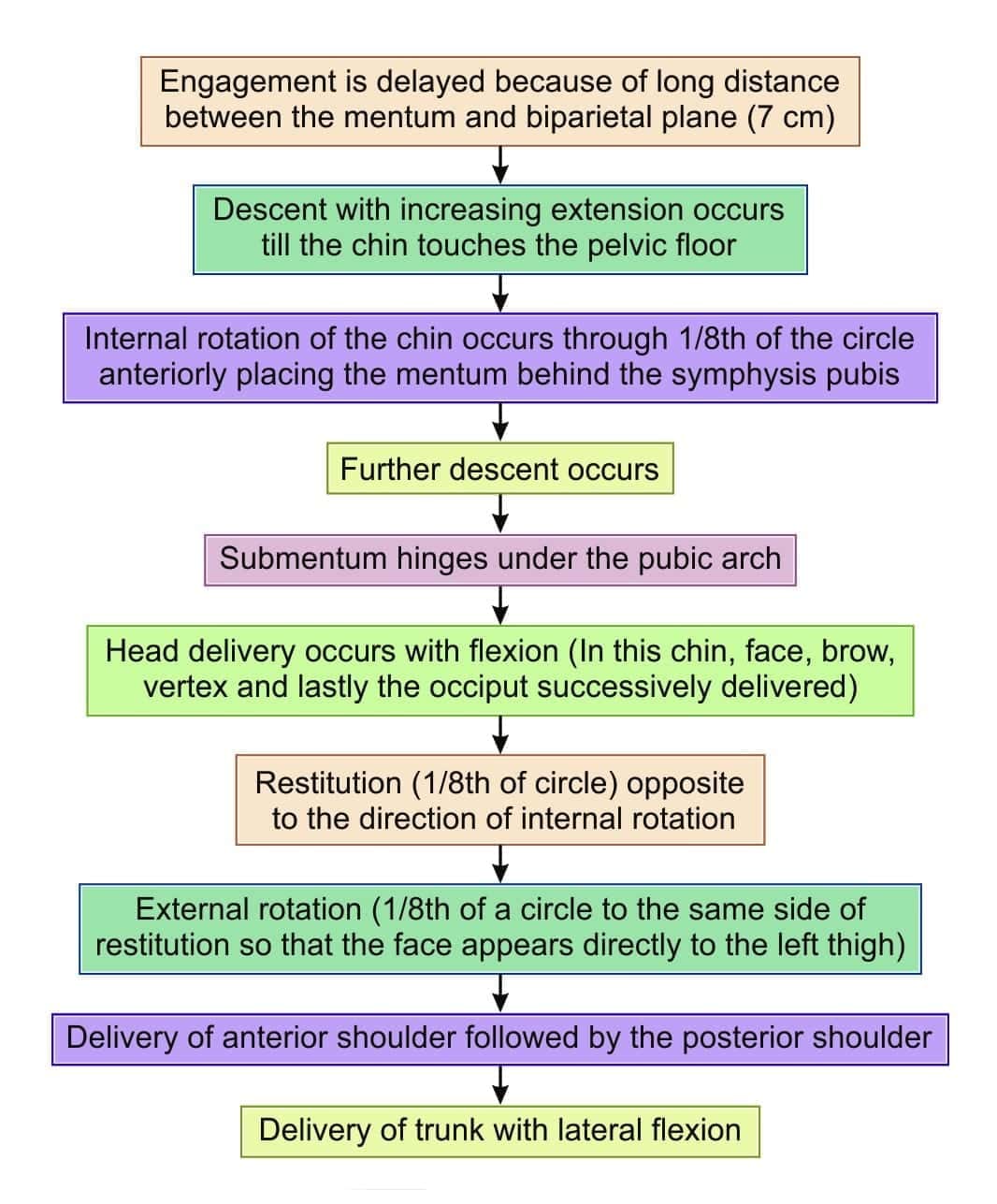 Mechanism of labor in face presentation (Mentoanterior presentation)