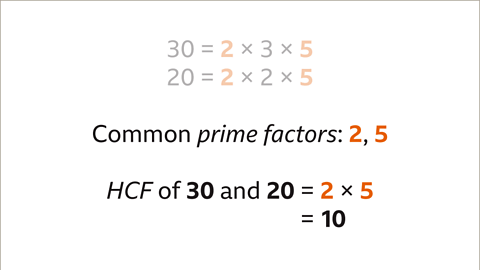 What is a Common Factor? - Year 7