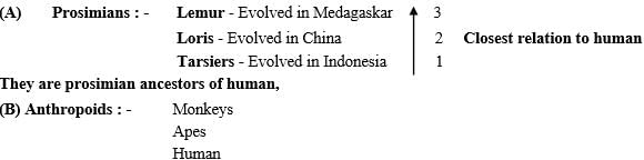 Origin & Evolution of Man | Biology for ACT