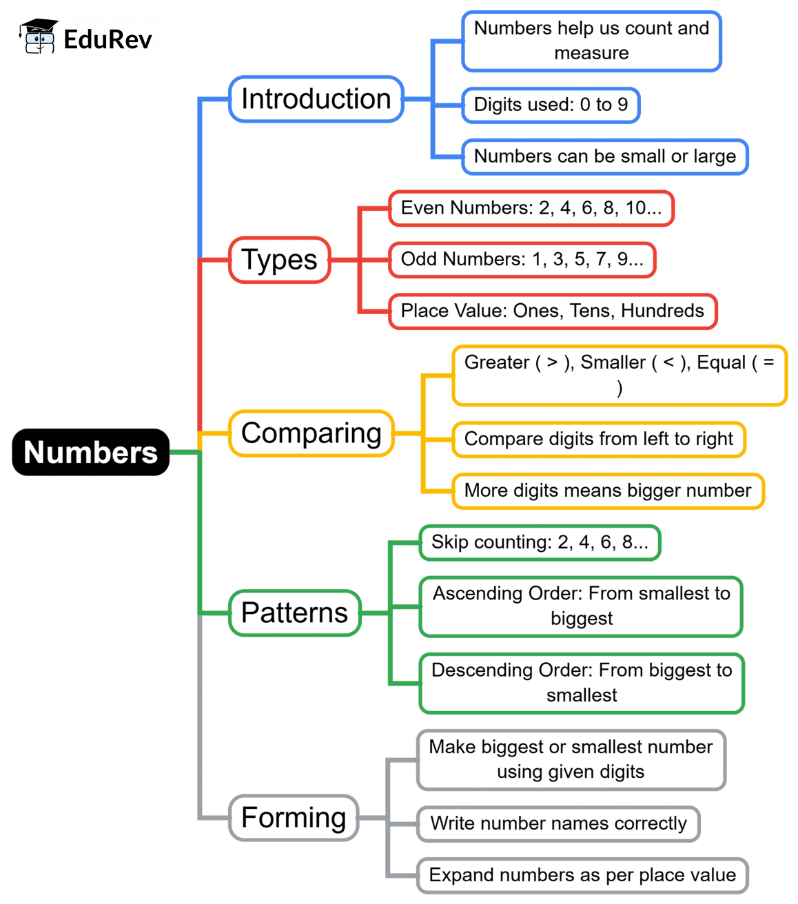 Mind Map: Numbers | Math Olympiad for Class 2