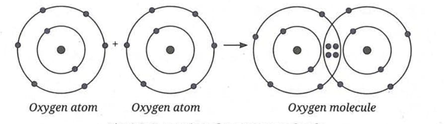 A. Molecules of Elements