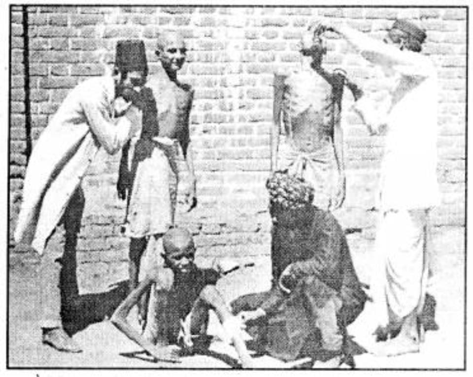 From the Diary of Anne Frank NCERT Solutions | English Class 10