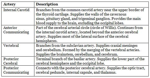 Neuroanatomy - 4 Chapter Notes | Anatomy - NEET PG