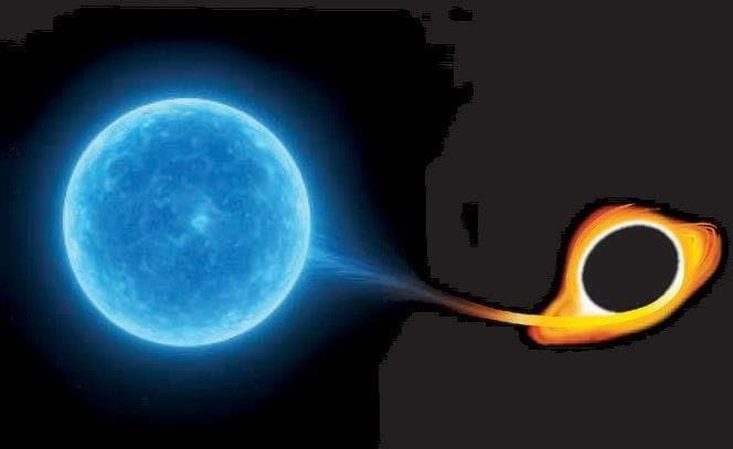 Extreme Nuclear Transients