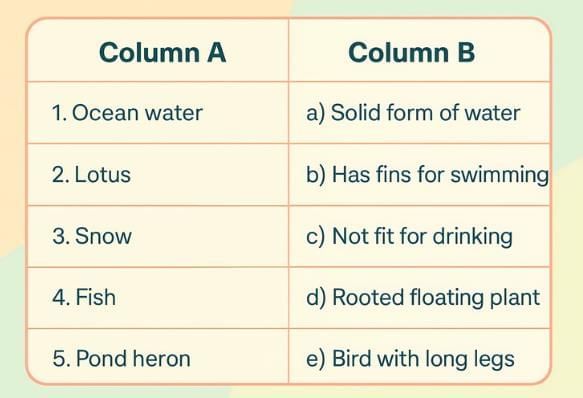Worksheet Solutions: Water - The Essence of Life | Worksheets with Solutions for Class 5