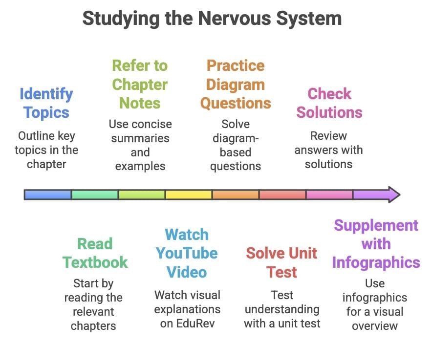 4 Days Timetable: Control and Coordination | Science Class 10