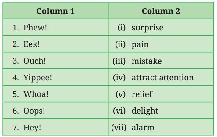 The Magic Brush of Dreams NCERT Solutions | English Poorvi Class 8 - New NCERT