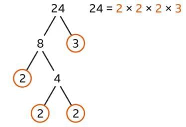 Factorisation of Algebraic expressions Chapter Notes | Mathematics Class 8 (Maharashtra Board)